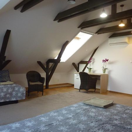 Velky Apartman V Rodinnom Dvojdome, Free Parking Košice Εξωτερικό φωτογραφία